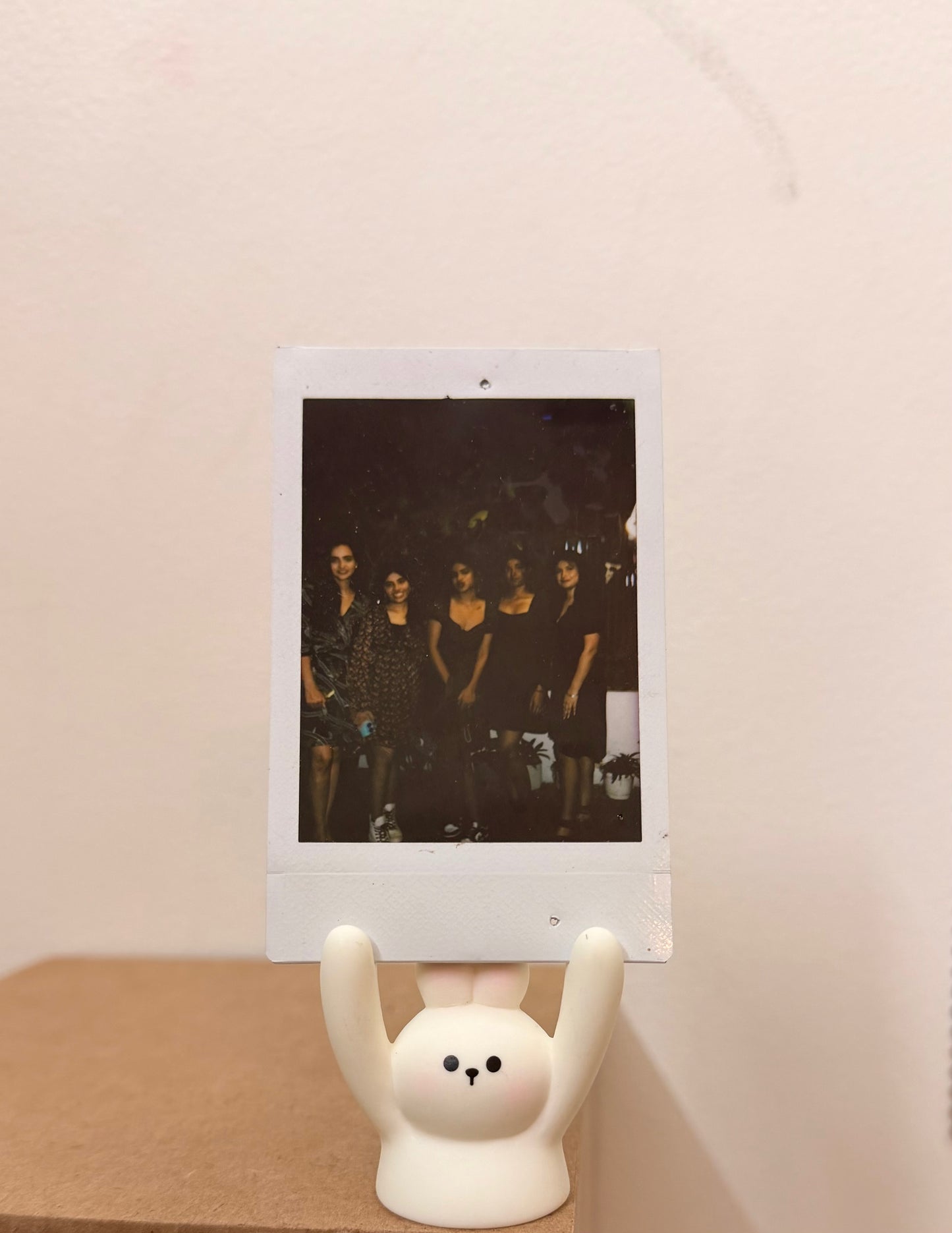 White Rabbit Photo Holder, white bunny holding a polaroid up in its raised arms