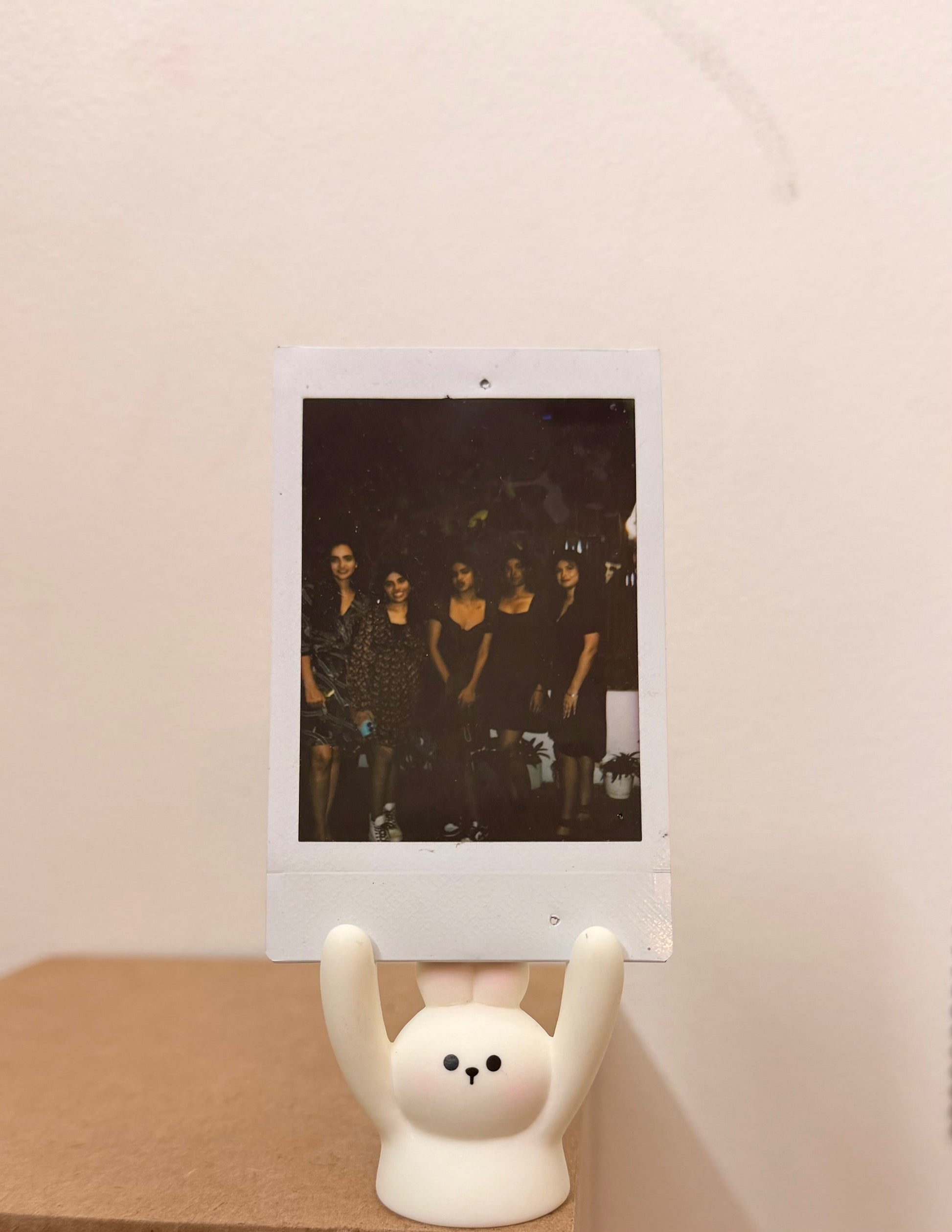 White Rabbit Photo Holder, white bunny holding a polaroid up in its raised arms