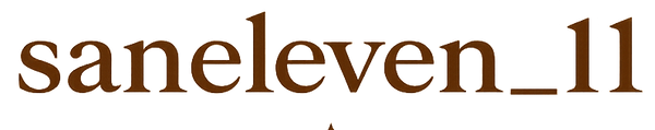 Username 'saneleven_11' in brown text on a white background